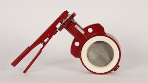 Bray 30 Series Butterfly Valve-White Seat/ S.S. Disk